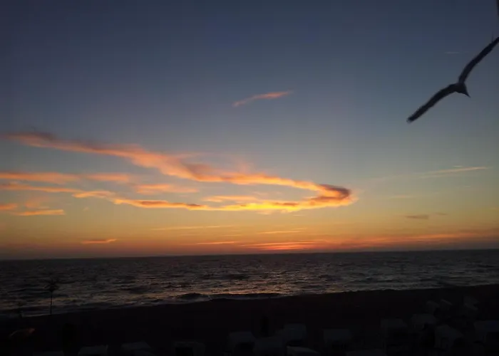 Atlantik 202 * Vesterland